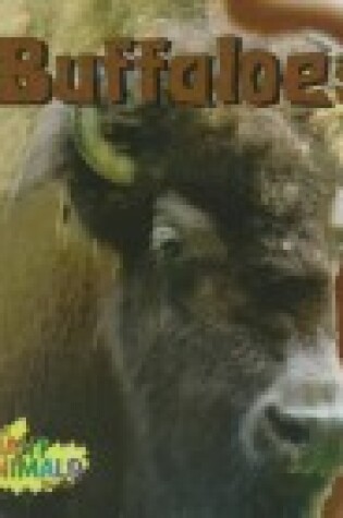 Cover of Buffaloes
