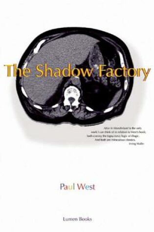 Cover of The Shadow Factory