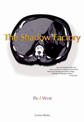 Book cover for The Shadow Factory