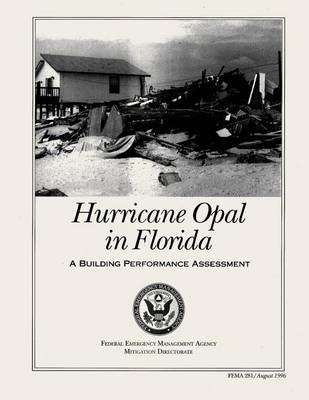 Book cover for Hurricane Opal in Florida