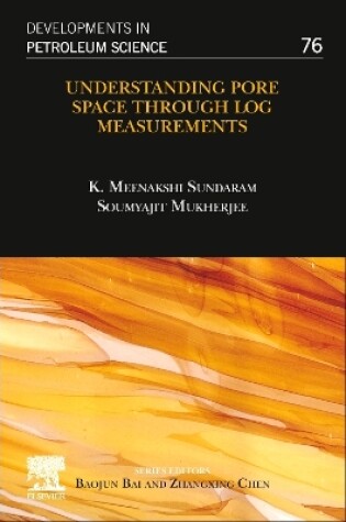 Cover of Understanding Pore Space through Log Measurements