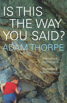 Book cover for Is This The Way You Said?