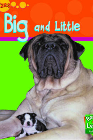 Cover of Read and Learn: Sizes: Big and Little