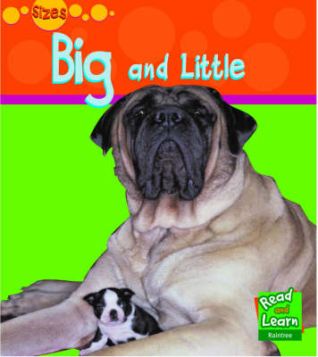 Book cover for Read and Learn: Sizes: Big and Little