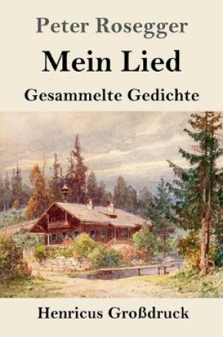 Cover of Mein Lied (Großdruck)