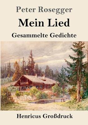 Book cover for Mein Lied (Großdruck)
