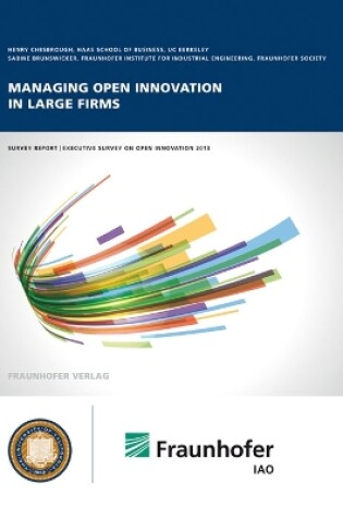 Cover of Managing open innovation in large firms.