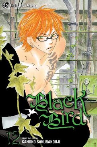 Cover of Black Bird, Vol. 12