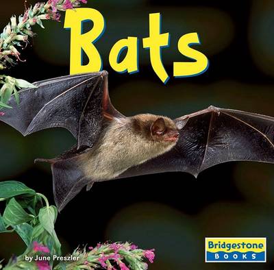 Cover of Bats