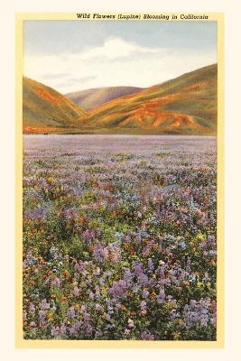 Book cover for The Vintage Journal Wildflowers in California