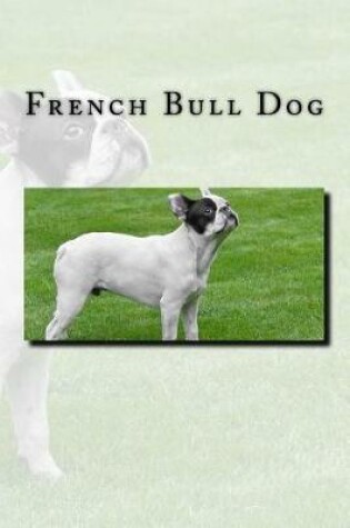 Cover of French Bull Dog