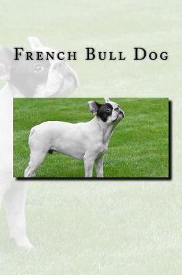 Book cover for French Bull Dog