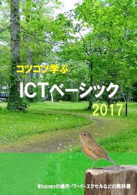 Cover of Study Steadily ICT Basic 2017