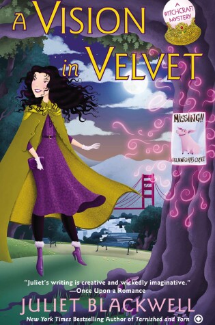 Cover of A Vision in Velvet
