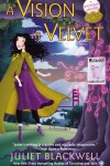 Book cover for A Vision in Velvet