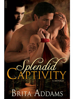 Book cover for Splendid Captivity