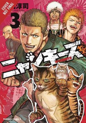 Book cover for Nyankees, Vol. 3