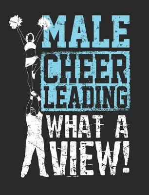 Book cover for Male Cheerleading What A View