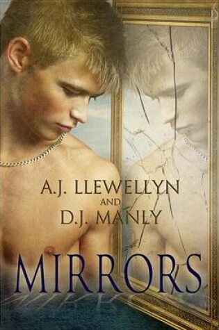 Cover of Mirrors