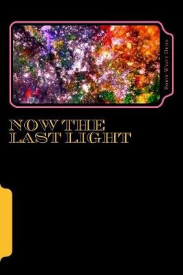 Book cover for Now The Last Light