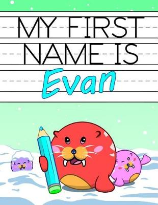 Book cover for My First Name Is Evan
