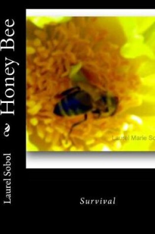 Cover of Honey Bee