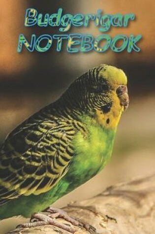 Cover of Budgerigar NOTEBOOK
