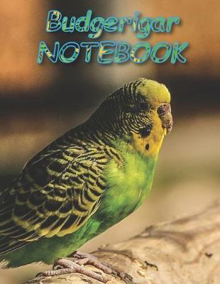 Book cover for Budgerigar NOTEBOOK