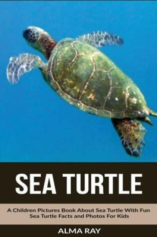 Cover of Sea Turtle