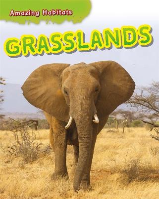 Book cover for Amazing Habitats: Grasslands