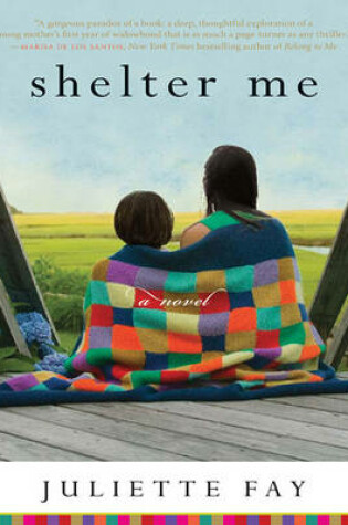 Cover of Shelter Me