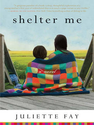 Book cover for Shelter Me