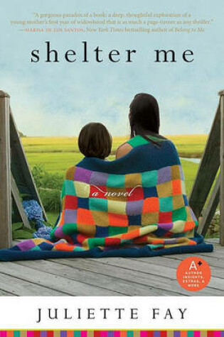 Cover of Shelter Me