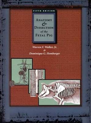 Book cover for Anatomy and Dissection of the Fetal Pig