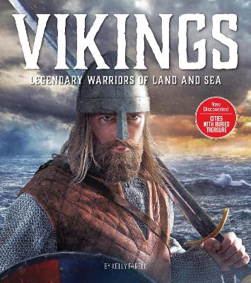 Book cover for Vikings