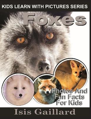 Book cover for Foxes