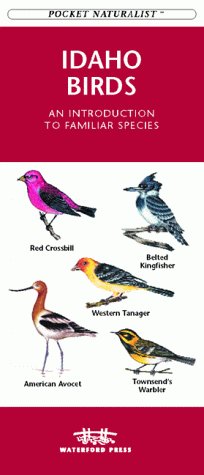 Book cover for Idaho Birds