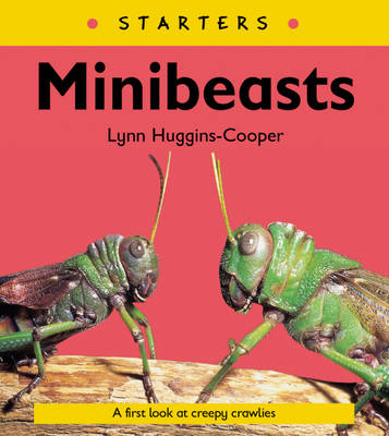 Book cover for Read Write Inc. Comprehension: Module 24: Children's Book: Mini Beasts