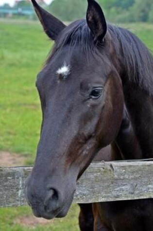 Cover of Beautiful Horse Looking Over a Fence Animal Journal