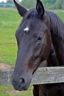 Book cover for Beautiful Horse Looking Over a Fence Animal Journal