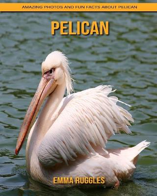 Book cover for Pelican