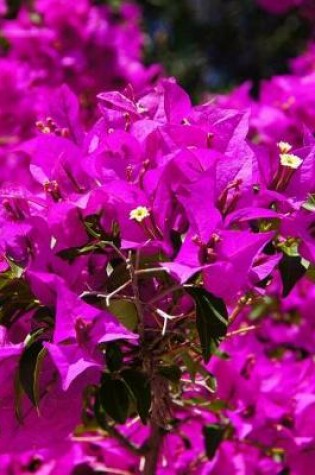 Cover of Bougainvillea Gardening Journal