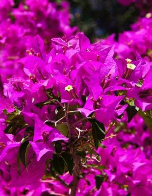 Book cover for Bougainvillea Gardening Journal