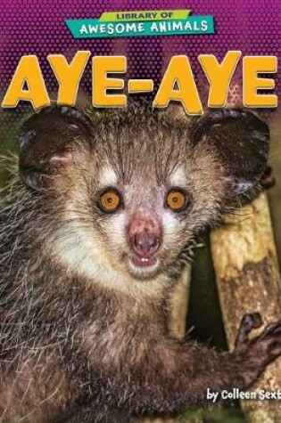 Cover of Aye-Aye