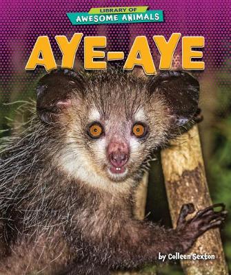 Cover of Aye-Aye