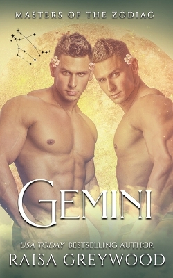 Book cover for Gemini