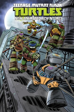 Cover of Teenage Mutant Ninja Turtles: New Animated Adventures Volume 3