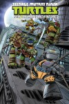 Book cover for Teenage Mutant Ninja Turtles: New Animated Adventures Volume 3