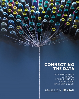 Book cover for Connecting the Data