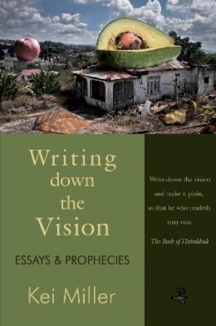 Cover of Writing Down the Vision